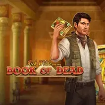 Book of Dead spielen